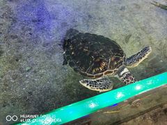 -鸿通城购物中心