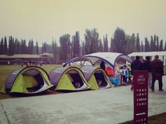 -秀丽东方