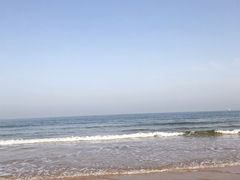 -刘家湾赶海园