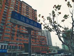 -陆家浜路(地铁站)