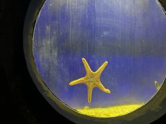 -合肥海洋世界