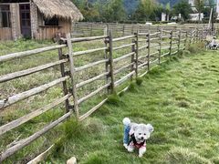 -溪口-滕头旅游景区