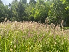 -房山世界地质公园博物馆