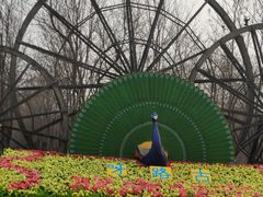 -呀路古热带植物园