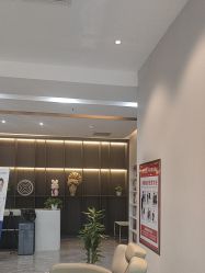 -碧莲盛·不剃发植发