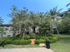 -海南清水湾莱佛士酒店