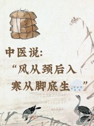 -克丽缇娜