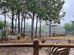 -大连森林动物园