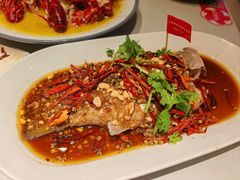 -杨氏青龙虾·羊蝎子(托乐嘉店)