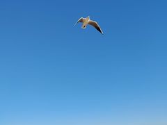-金梦海湾浴场