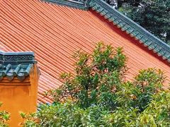 -宝通禅寺