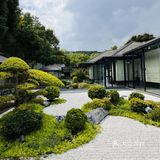 品鉴午间美味佳肴