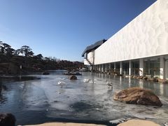 -罗红摄影艺术馆