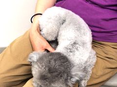 -中农国际动物医院24小时·猫科·骨科·急重症中心