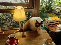 -咖法森林·咖啡  酒吧(天河店)