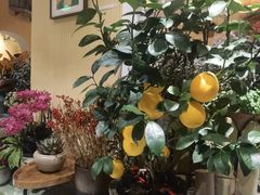 -萤火虫咖啡(后海店)