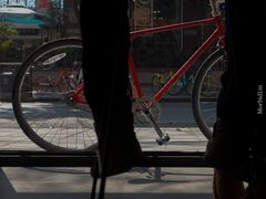 -常识咖啡common sense(春熙路店)
