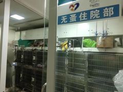 -爱贝特动物医院·猫口炎专科