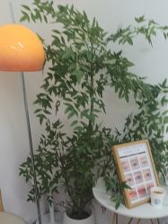 -变美丽半永久纹眉连锁·机器野生眉•洗眉