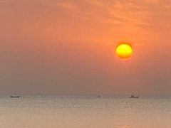 -渡海小渔村.老辈日照菜
