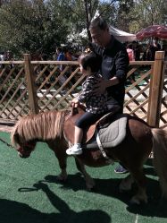 -萌宠亲子动物乐园(槐房万达店)