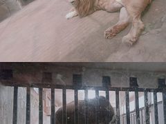 -南昌动物园