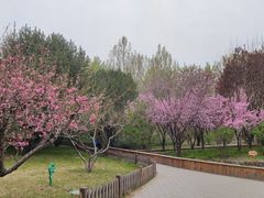 -莲花池公园