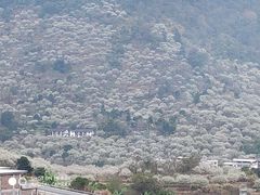 -福建天门山