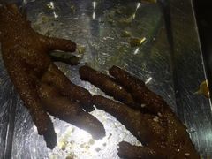 -孔利凤爪王烧烤(后湖第一店)
