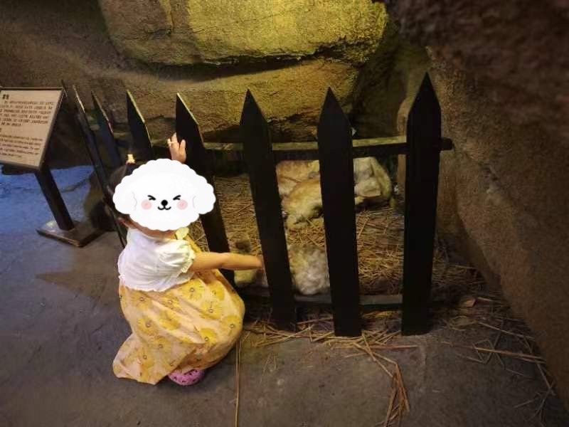 藏在上海郊区的溶洞石头博物馆