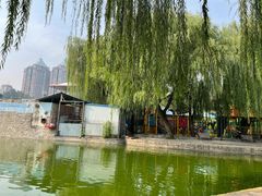 -团结湖公园