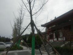 -黑河国家森林公园