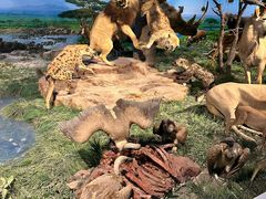 -国家自然博物馆