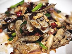 -鸽子窝(黄村店)