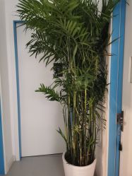 -康谛尔健康管理机构