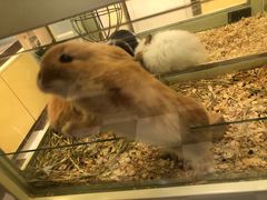 -龙猫仔乐园(惠福东路店)