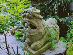 -青城甲(青城山店)