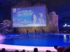 -华夏文旅海洋公园