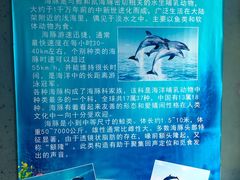 -苏州海洋馆