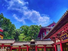 -灵谷景区