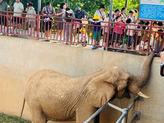 -西霞口神雕山野生动物世界
