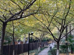 -白马涧龙池景区