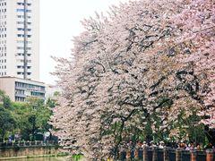 -红星桥(地铁站)