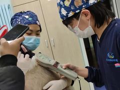 -北京观赏动物医院·24小时大型综合·猫专科·异宠专科