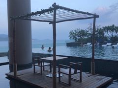 -芽庄喜来登水疗酒店