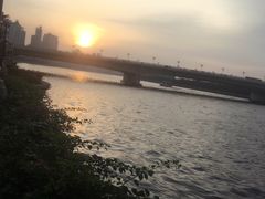 -珠江夜游广州塔·中大码头