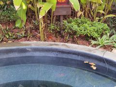 -厦门日月谷温泉渡假村