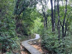 -狮子山郊野公园