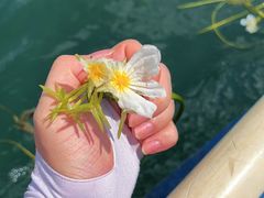 -丽江泸沽湖景区