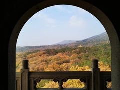 -灵谷景区